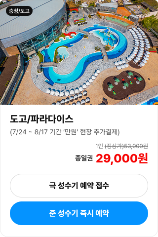 도고 파라다이스 입장권 안내